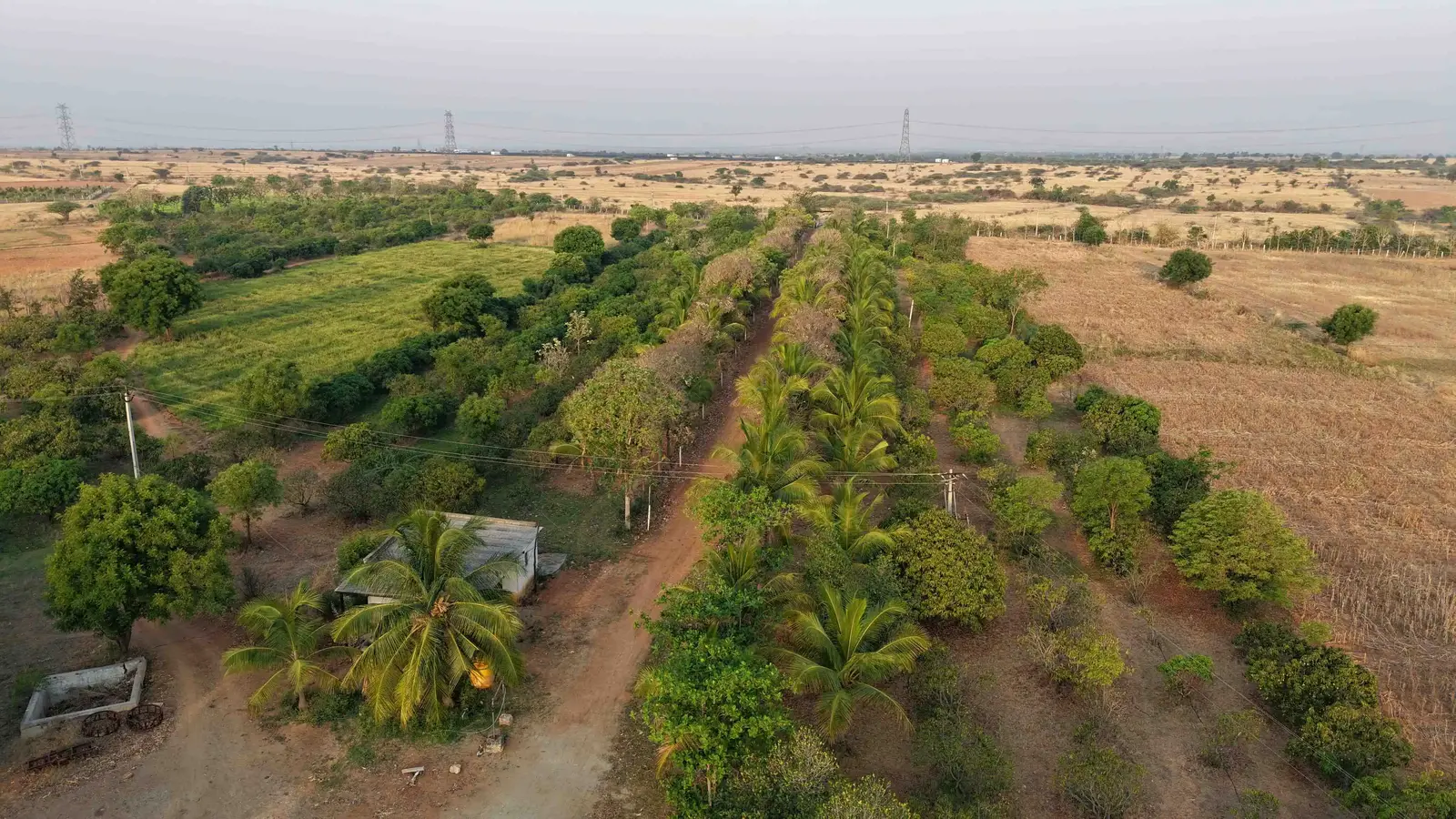 Official Neralu Brahmasamudra project photograph