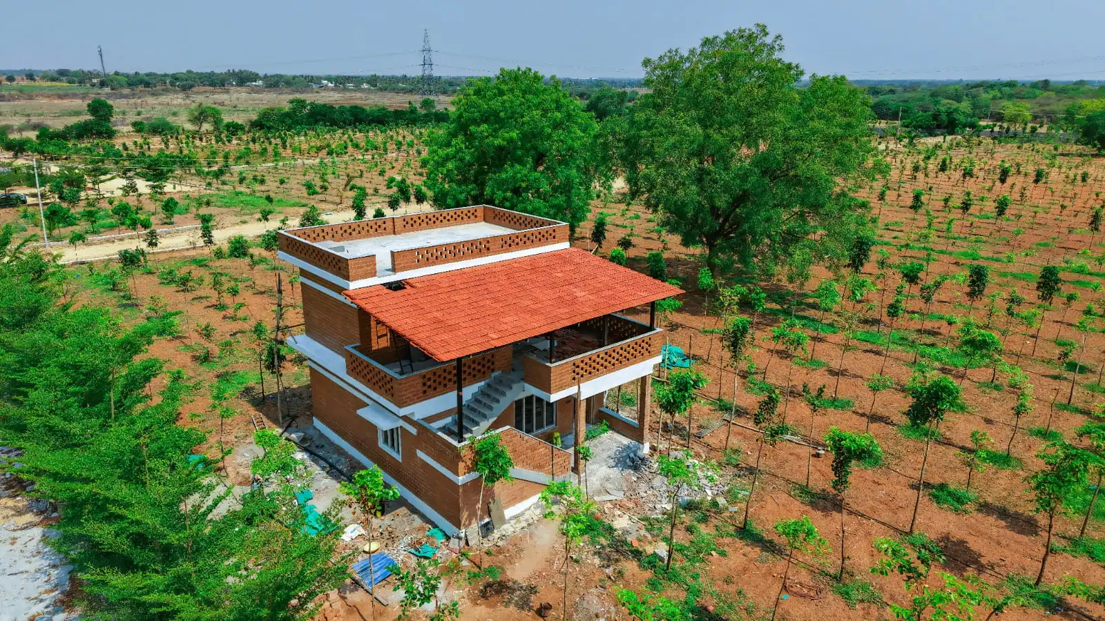 Actual project cottage surrounded by plantation rows at Sandal Valley