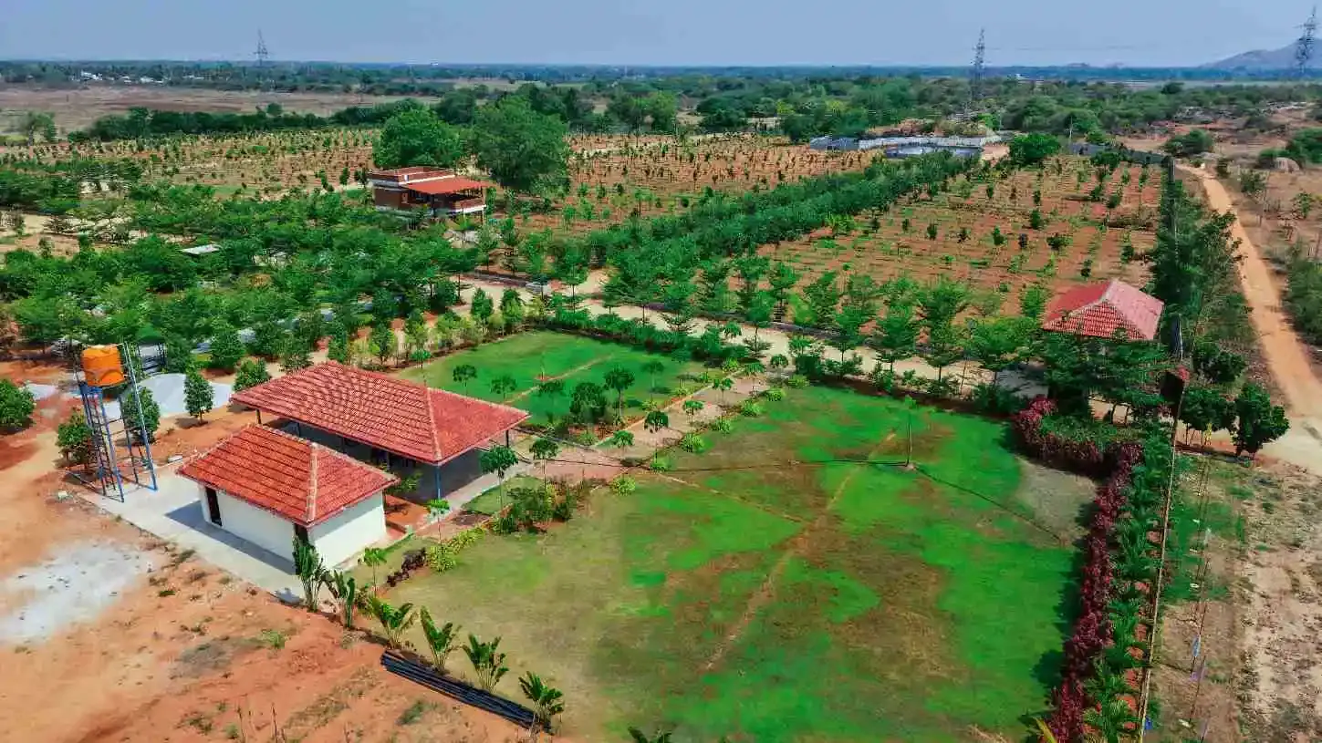 Actual plantation rows and landscaped facilities at Sandal Valley